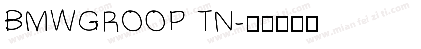 BMWGROOP TN字体转换